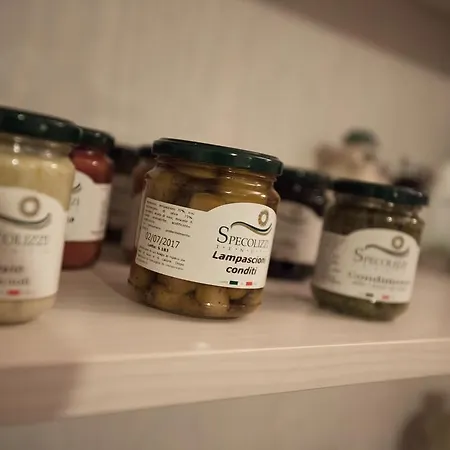 Masseria Tenuta Specolizzi Alloggio per agriturismo