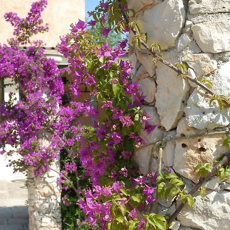 Masseria Tenuta Specolizzi Lido Marini