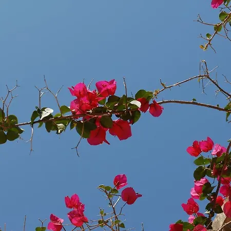 Masseria Tenuta Specolizzi Alloggio per agriturismo