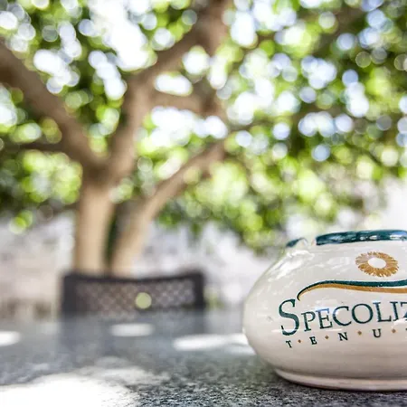 Alloggio per agriturismo Masseria Tenuta Specolizzi *